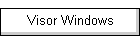 Visor Windows